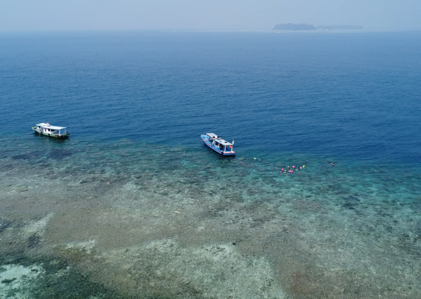 Terumbu Karang Berwarna
